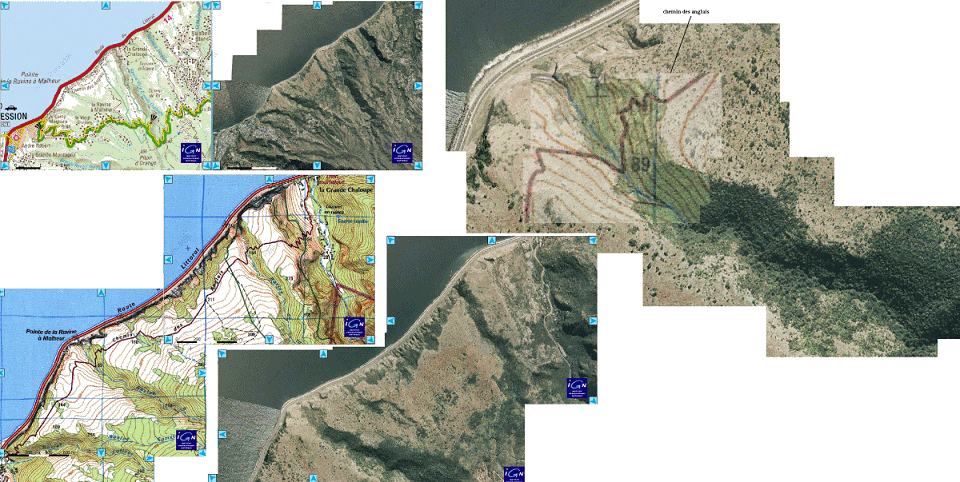 carteIGN