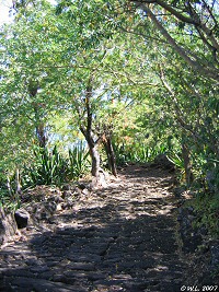 chemin_cremont_des_anglais_ravine_malheur