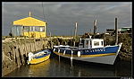 Entre le chenal de l Arceau et La Bourdissiere. Ile d Oleron