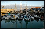 Le Port de Chateau d Oleron