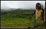 Norvege Trollstigen Route des Trolls