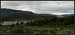 Norvege Entre Borgund et Aurlands-Vangen
