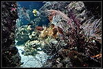 Aquarium de La Rochelle