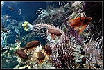 Aquarium de La Rochelle