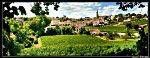 Quand l Or vert devient rouge Saint Emilion