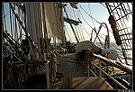 Le Belem au large du phare de Cordouan