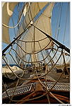Le Belem sous voiles