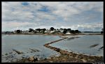Larmor Baden vue depuis ile Berder