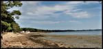 Anse de Locmiquel-Golfe du Morbihan