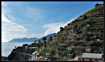 Cinque Terre Vignobles en terrasse Manarola