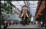 L elephant mobile devant la galerie des machines de l ile Nantes