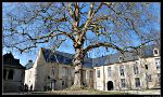 Place de la Liberte Bayeux