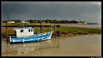 Port de Talmont sur Gironde