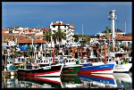 Le port de peche de Saint Jean de Luz