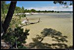 Plage de L Oiseau Bleu Sanguinet